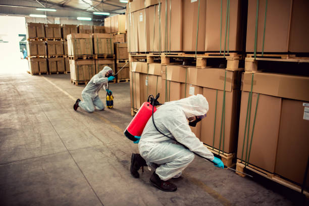 Best Mosquito Control Services  in Long Lake, IL