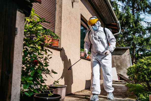 Best Insect Control  in Long Lake, IL