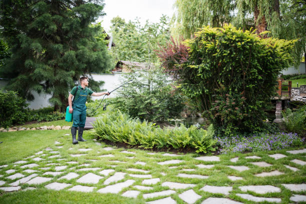 Best Local Pest Control Services  in Long Lake, IL