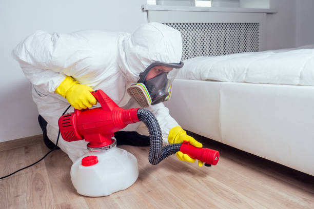 Best Residential Pest Control  in Long Lake, IL