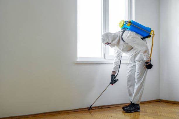 Best Commercial Pest Control Services  in Long Lake, IL