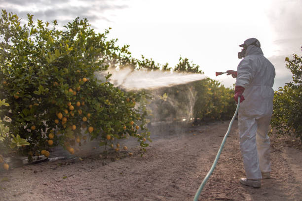 Best Affordable Pest Control Services  in Long Lake, IL