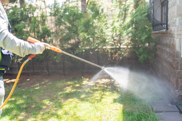 Trusted Long Lake, IL Pest Control Experts