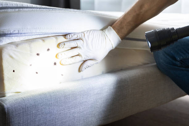 Best Pest Inspection Near Me  in Long Lake, IL