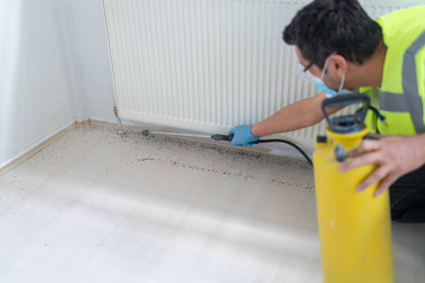 Best Wasp Removal Services  in Long Lake, IL