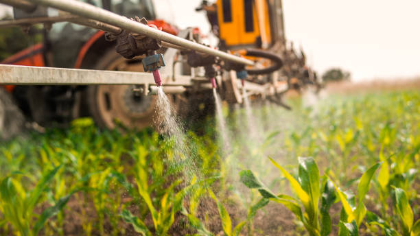 Best Wildlife Control Services  in Long Lake, IL